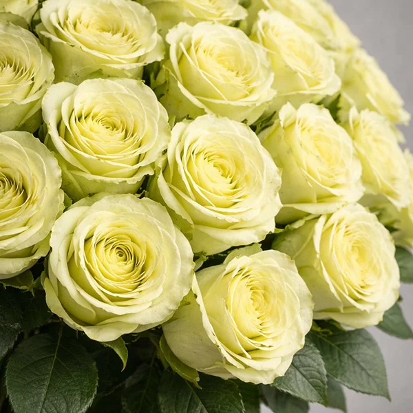 101 зеленая роза (70 см)